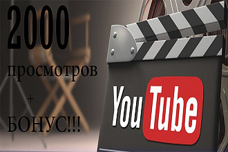 2000 просмотров на Ваш ролик в Youtube
