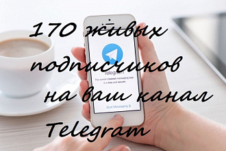 170 подписчиков на канал telegram