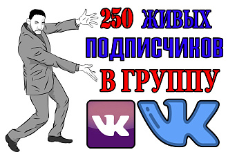 250 ЖИВЫХ подписчиков в группу ВКонтакте, без ботов