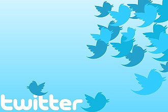 700 подписчиков на ваш аккаунт Twitter