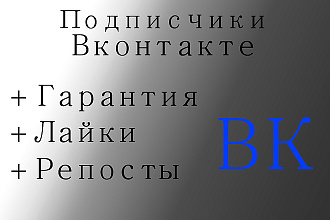 Подписчики вконтакте