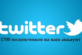1700 подписчиков на аккаунт Twitter