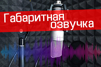 Озвучка больших текстов, длинных видеороликов
