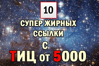 Ручное размещение 10 вечных ссылок на сайтах с ТИЦ от 5000 + бонус