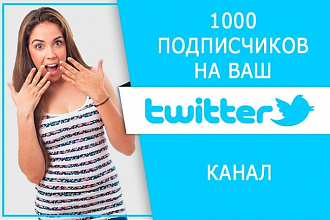 1000 подписчиков в Twitter, фолловеры