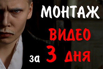 Быстрый и качественный монтаж за 3 дня
