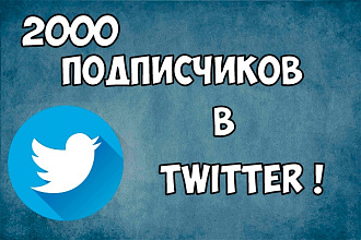 Подписчики в Твиттер. Добавлю 2000 читателей