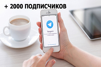 2000 подписчиков на канал в Telegram