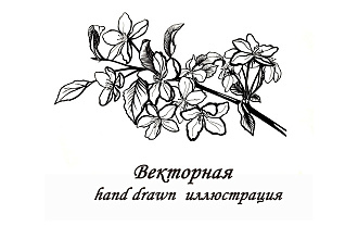 Векторные hand drawn иллюстрации
