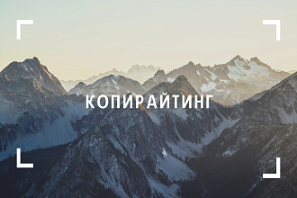 Напишу продающий текст