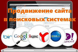 Продвижение сайта в поисковых системах на cms Wordpress