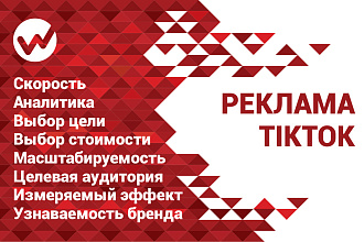 Таргетированная реклама в TikTok. Настройка, создание, ведение