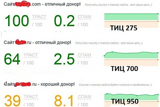 Публикация на 3 сайтах с хорошими данными по Чектрасту