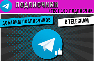 Подписчики в канал Telegram
