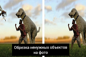 Удаление ненужных объектов с фото