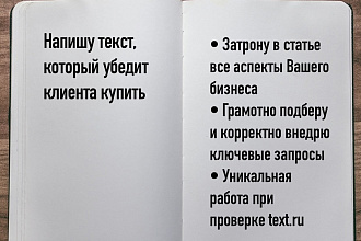 Напишу текст, который убедит клиента купить
