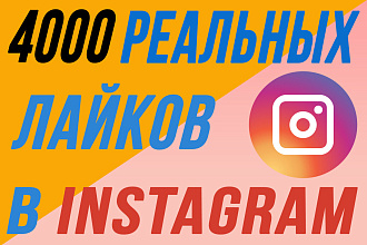 4000 лайков от живых людей в instagram