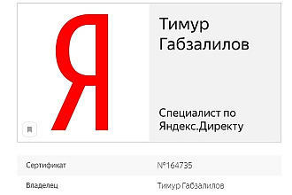 Настройка Яндекс. Директ Поиск РСЯ