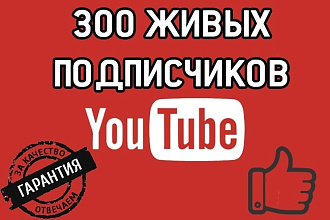 300 подписчиков на YouTube канал