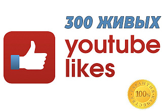 300 живых лайков в ютуб, безопасно