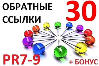 Вывод в ТОП Google. 30 вечных ссылок с PR9, ручное размещение, бонусы