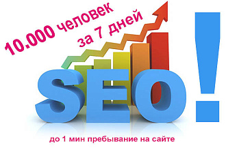 Трафик на Ваш сайт - 10.000 Посетителей за 7 дней