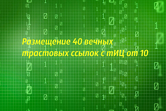 Размещение 40 вечных трастовых ссылок с тИЦ 10+