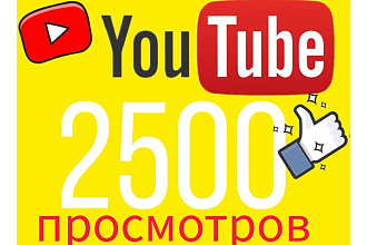 2500 реальных просмотров в Youtube