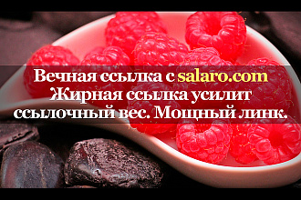 Качественная ссылка с сайта salaro.com