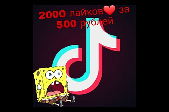 Tik Tok 2000 лайков