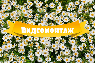 Видеомонтаж для YouTube и другого