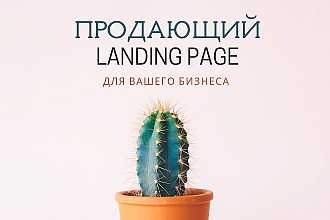 Создам продающий лендинг на Тильде за 2-3 дня