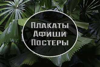 Создам афишу, постер, плакат