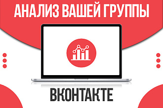 Анализ вашей группы ВКонтакте. Быстро и качественно