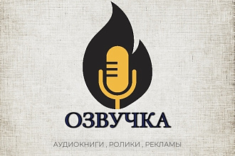 Качественная озвучка видео , приятный молодой голос