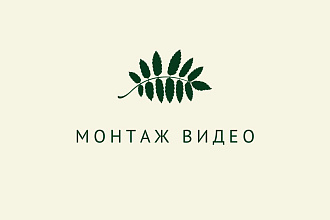 Быстрый и качественный монтаж для Instagram