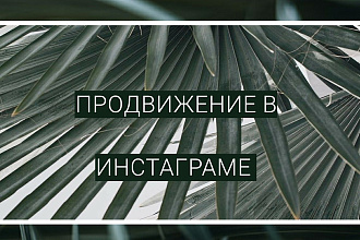Менеджер по продвижению в Instagram