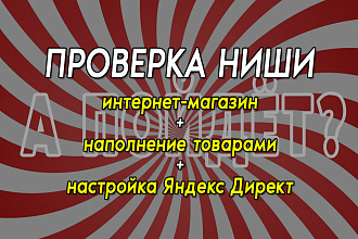 Создание интернет-магазина и настройка Яндекс Директ для проверки ниши