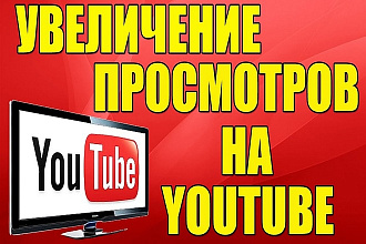 Привлеку 1000 живых посетителей на Ваше видео в youtube