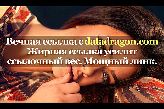 Жирная ссылка с сайта datadragon.com