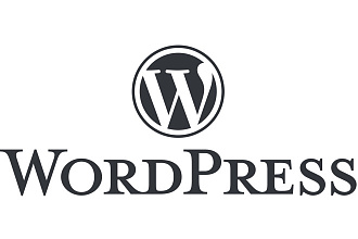 Разработка сайтов на CMS Wordpress