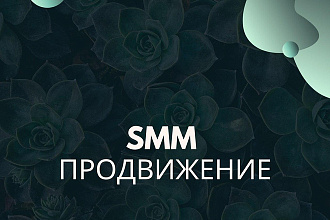 SMM продвижение