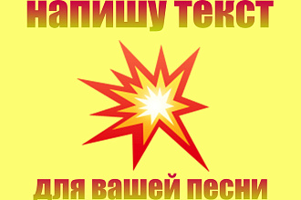Напишу текст, для любой песни по жанру
