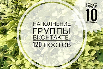 Контент для ВК. Размещение 120 постов в группу ВКонтакте