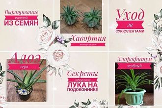 Оформлю страницу в Instagram