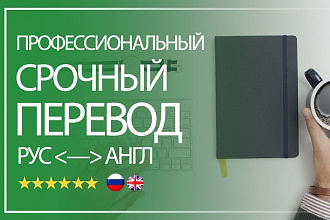 Профессиональный срочный перевод текста. Английский и Русский
