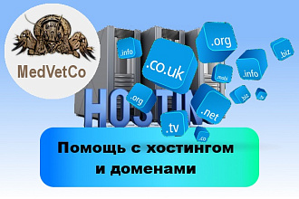 Помощь с хостингом и доменами