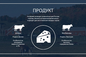 Сделаю понятную стильную презентацию