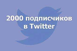 Привлечение 2000 подписчиков на ваш Twitter аккаунт