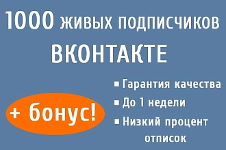 Раскрутка от 1000 подписчиков Вк